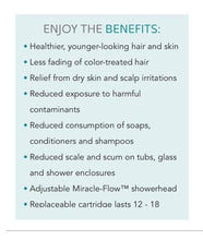 Load image into Gallery viewer, Soft 'N Clean 5-Stage Stainless Steel Shower Filter and Softener